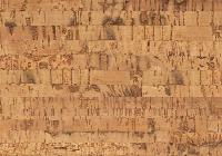 Пробковый пол Corkstyle Corkwise Glue Linea